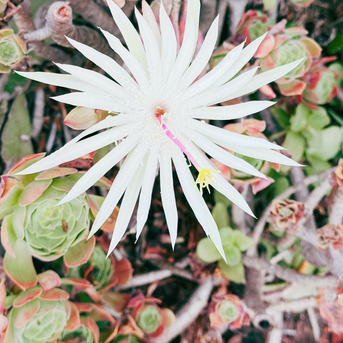 Nature & Friends