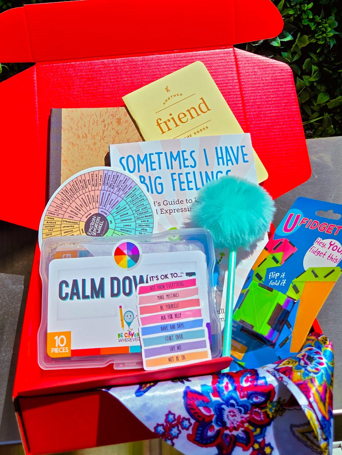 The Feelings Explorer Kit for Kids