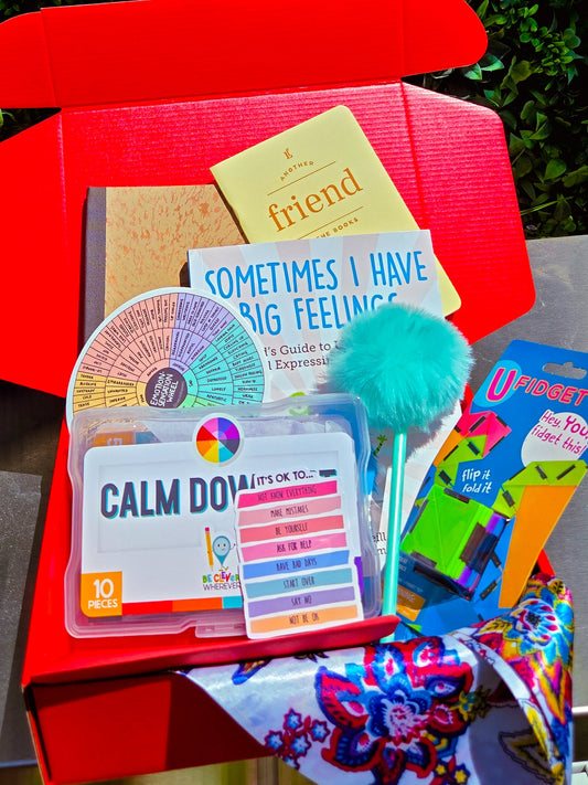 The Feelings Explorer Kit for Kids