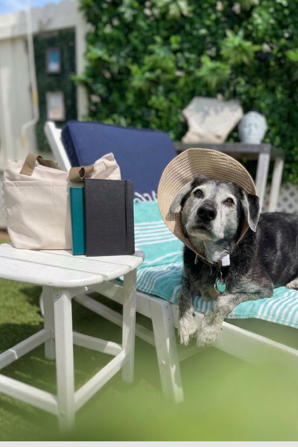 The Shore Kit