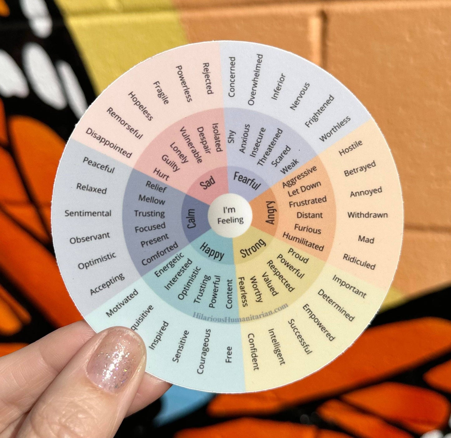 The Feelings Explorer Kit for Kids